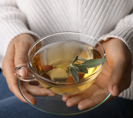 main tenant une tasse de tisane avec quelques plantes médicinales main tenant une tasse de tisane avec quelques plantes médicinales